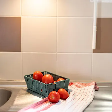 Flat At Border Suisse アパート *