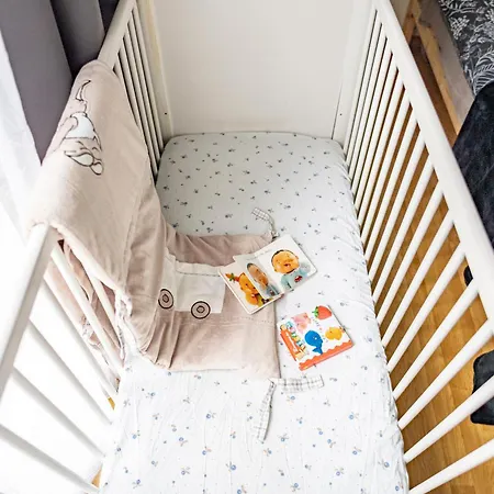 Flat At Border Suisse