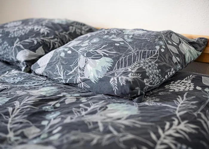 Flat At Border Suisse * Saint-Louis (Haut-Rhin)